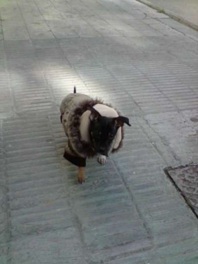 CON SU CHAQUETITA